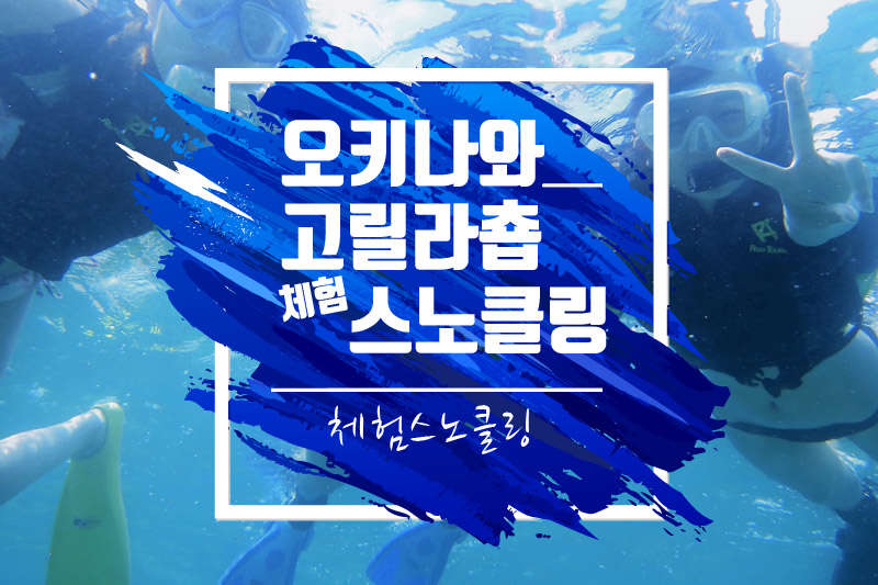 [북부/고릴라춉] 스노클링 - 아름다운바다!  <프리미엄 투어>